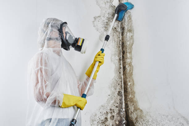 Best Industrial Mold Remediation  in Auburndale, FL